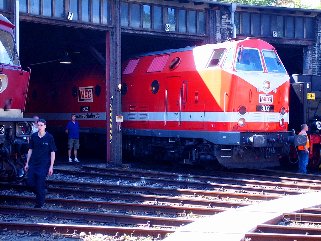 119_173_MEG302_Halle_004(2).JPG - Die Lok 302 der MEG (Mitteldeutsche Eisenbahn GmbH) im Schuppen des DB-Museum in Halle am 5. Juli 2009. Die Maschiene wurde von Krupp 1992 Modernisiert und hatte bei der DR die Bezeichnung 119 173.