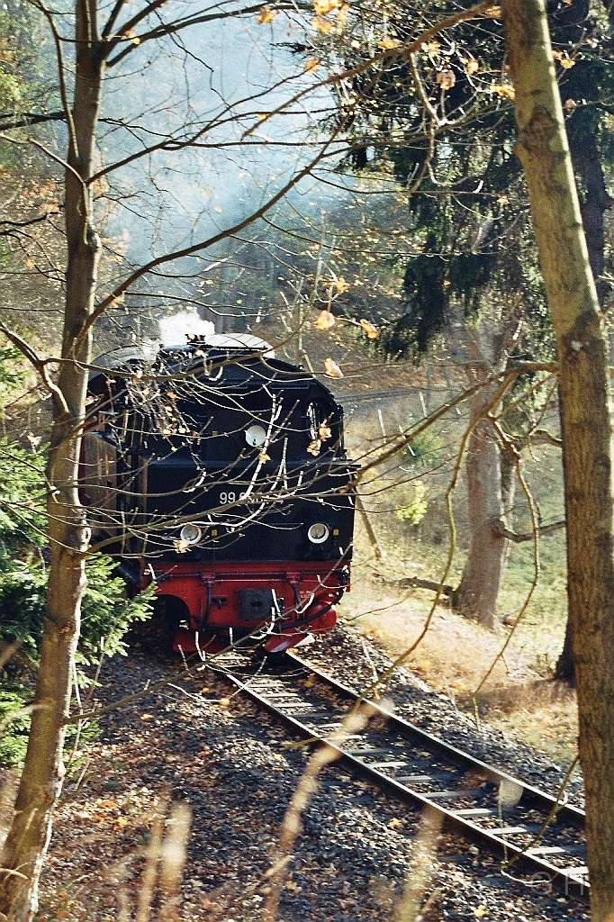 Selketalbahn-02.jpg - Im Oktober 2006 der Zug hat Mägdesprung hinter sich, unterhalb der Ruine Heinrichsburg, auf den Weg nach Gernrode.